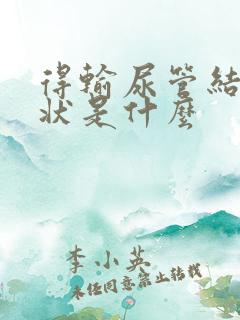 得输尿管结石症状是什么