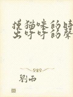 摸猫咪的时候发出呼呼的声音