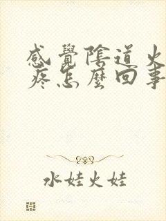 感觉阴道火辣辣疼怎么回事