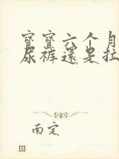 宝宝六个月穿纸尿裤还是拉拉裤