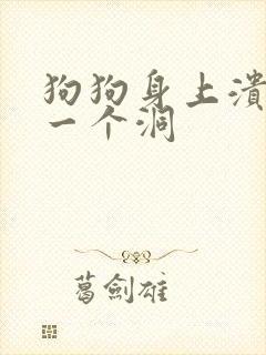 狗狗身上溃烂了一个洞