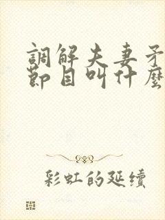 调解夫妻矛盾的节目叫什么