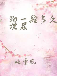 狗一般多久拉一次尿