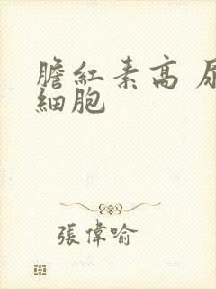 胆红素高 尿红细胞