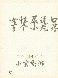 女性尿道口上面有个小疙瘩