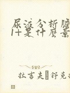 尿液分析胆红素1+是什么意思