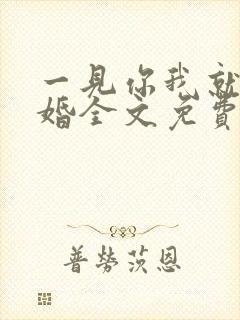 一见你我就想结婚全文免费阅读