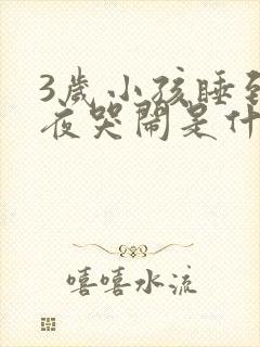 3岁小孩睡到半夜哭闹是什么原因