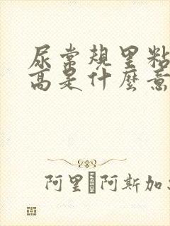 尿常规里粘液丝高是什么意思