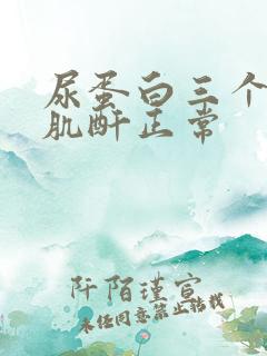 尿蛋白三个加号肌酐正常