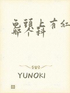 龟头上有红班挂哪个科