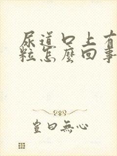 尿道口上有小肉粒怎么回事