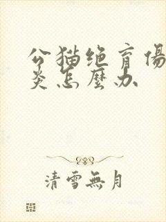 公猫绝育伤口发炎怎么办