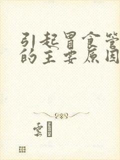 引起胃食管反流的主要原因