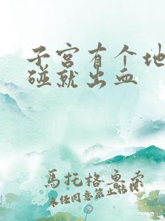 子宫有个地方一碰就出血