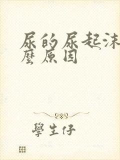 尿的尿起沫是什么原因