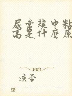 尿常规中粘液丝高是什么原因