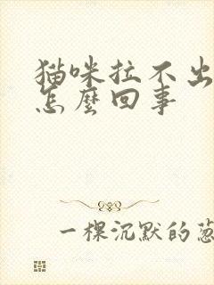 猫咪拉不出尿是怎么回事