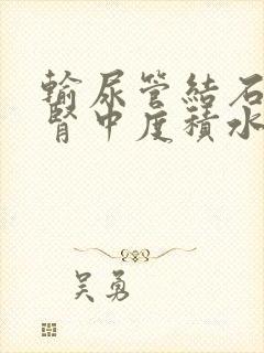 输尿管结石引起肾中度积水