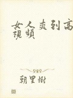 女人爽到高潮的视频