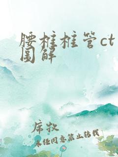 腰椎椎管ct片图解