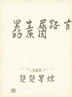 男生尿路有感染的原因