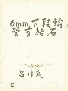 6mm下段输尿管有结石