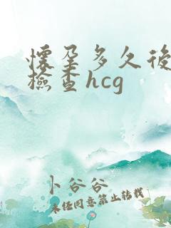怀孕多久后可以检查hcg