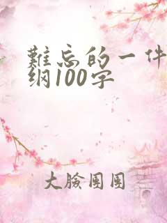 难忘的一件事提纲100字