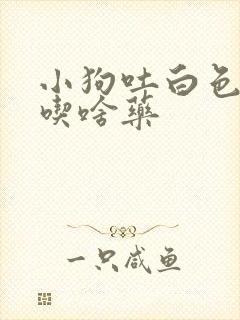 小狗吐白色粘液吃啥药