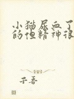 小猫尿血了鲜红的但精神很好