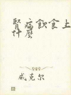 肾病饮食上注意什么