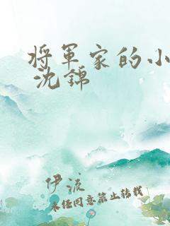 将军家的小娘子 沈锦