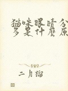 猫咪眼睛分泌物多是什么原因