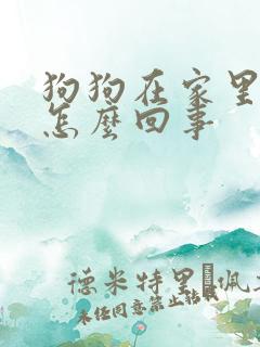 狗狗在家里乱尿怎么回事