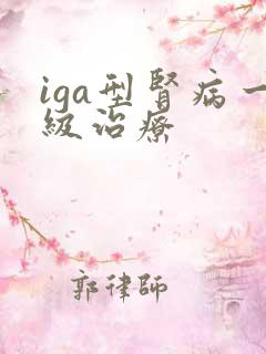 iga型肾病一级治疗