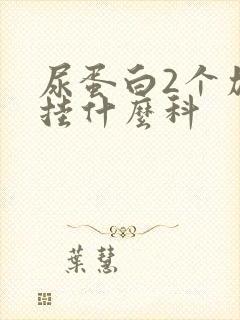 尿蛋白2个加号挂什么科