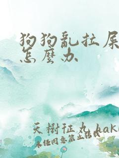 狗狗乱拉屎拉尿怎么办