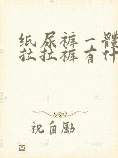 纸尿裤一体裤和拉拉裤有什么区别