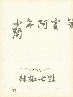 少年阿宾 笔趣阁