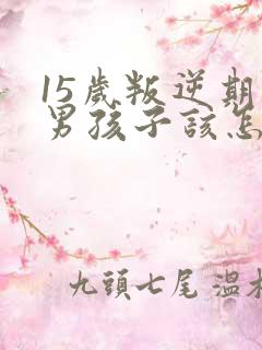 15岁叛逆期的男孩子该怎样去沟通教育