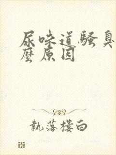 尿味道骚臭是什么原因