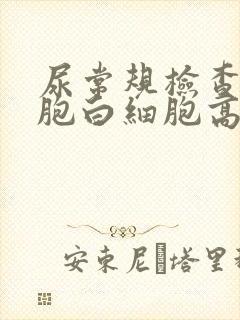 尿常规检查红细胞白细胞高怎么回事