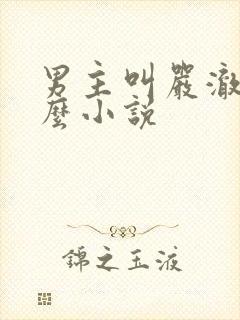 男主叫严澈是什么小说