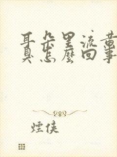 耳朵里流黄水很臭怎么回事