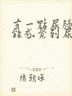 有一点尿膀胱就能感觉到尿意