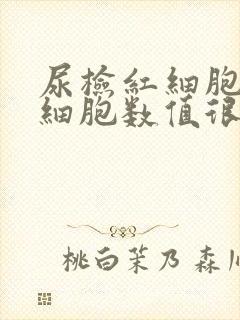 尿检红细胞和白细胞数值很高