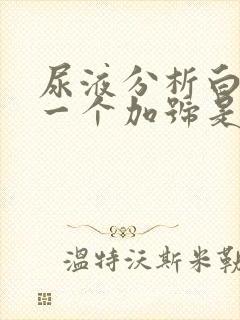 尿液分析白细胞一个加号是什么意思