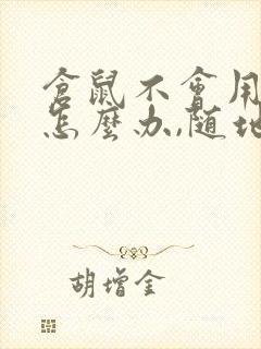 仓鼠不会用尿沙怎么办,随地大小便