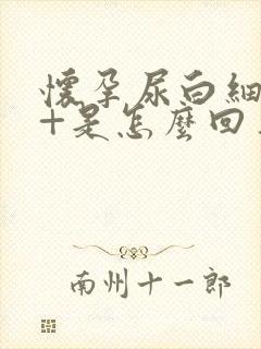 怀孕尿白细胞2+是怎么回事